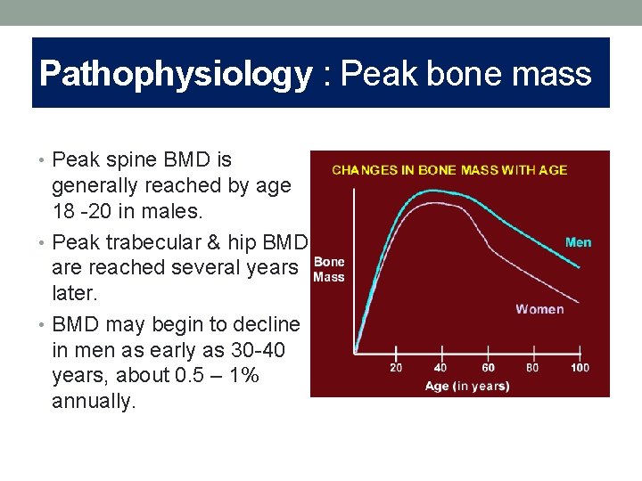 Pathophysiology : Peak bone mass • Peak spine BMD is generally reached by age