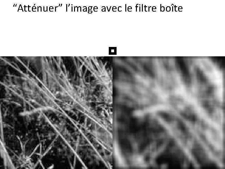 “Atténuer” l’image avec le filtre boîte 