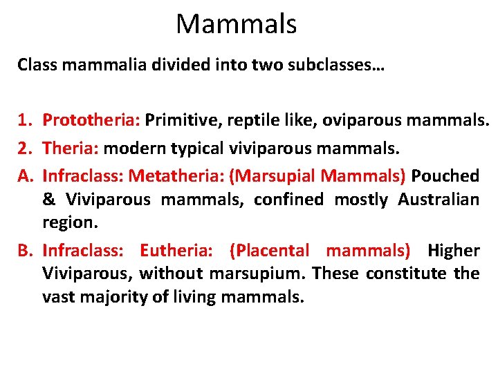 Mammals Class mammalia divided into two subclasses… 1. Prototheria: Primitive, reptile like, oviparous mammals.