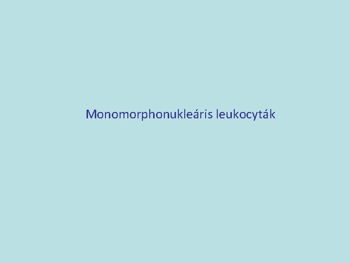 Monomorphonukleáris leukocyták 