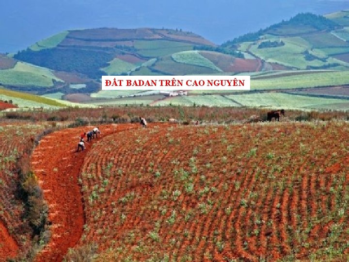 ĐẤT BADAN TRÊN CAO NGUYÊN 