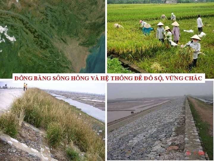 ĐỒNG BẰNG SÔNG HỒNG VÀ HỆ THỐNG ĐÊ ĐỒ SỘ, VỮNG CHẮC 