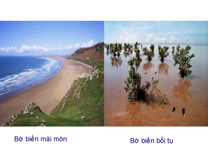 Bờ biển mài mòn Bờ biển bồi tụ 