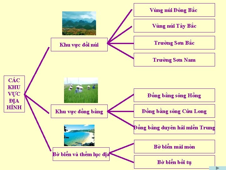 Vùng núi Đông Bắc Vùng núi Tây Bắc Khu vực đồi núi Trường Sơn