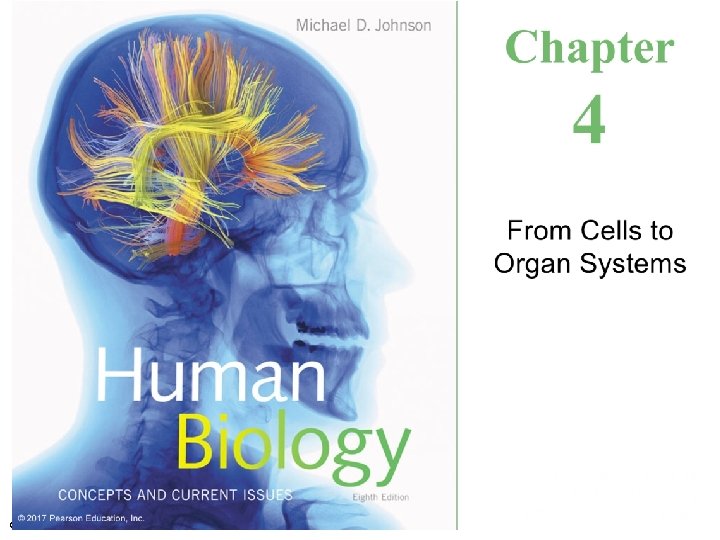 © 2017 Pearson Education, Inc. © 2017 Pearson Education, Inc.