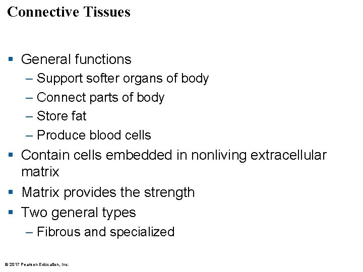 Connective Tissues § General functions – Support softer organs of body – Connect parts Connective Tissues § General functions – Support softer organs of body – Connect parts