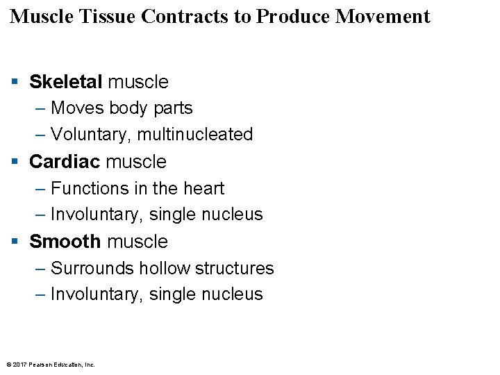 Muscle Tissue Contracts to Produce Movement § Skeletal muscle – Moves body parts – Muscle Tissue Contracts to Produce Movement § Skeletal muscle – Moves body parts –