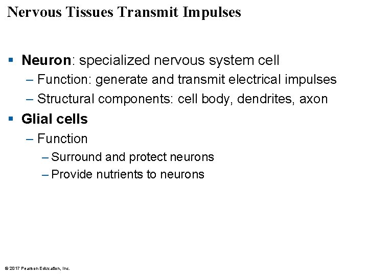 Nervous Tissues Transmit Impulses § Neuron: specialized nervous system cell – Function: generate and Nervous Tissues Transmit Impulses § Neuron: specialized nervous system cell – Function: generate and