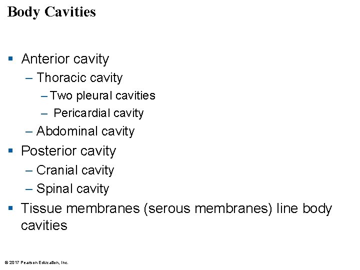 Body Cavities § Anterior cavity – Thoracic cavity – Two pleural cavities – Pericardial Body Cavities § Anterior cavity – Thoracic cavity – Two pleural cavities – Pericardial