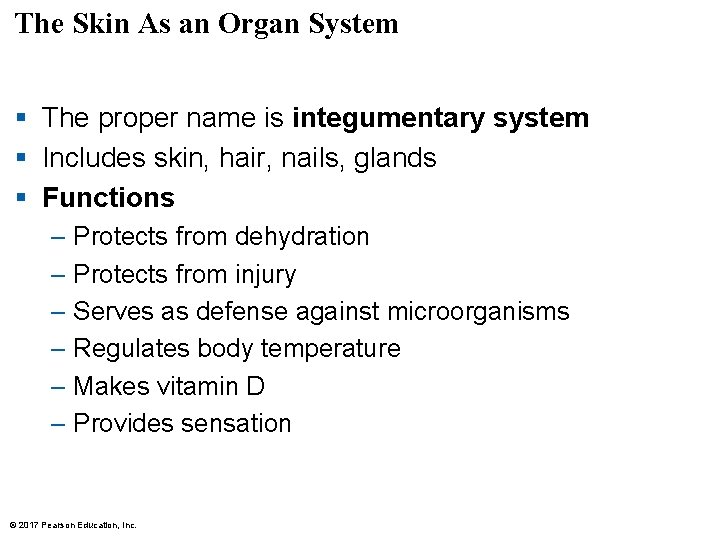 The Skin As an Organ System § The proper name is integumentary system § The Skin As an Organ System § The proper name is integumentary system §