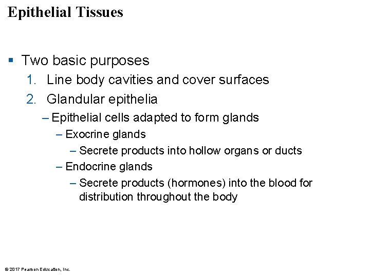 Epithelial Tissues § Two basic purposes 1. Line body cavities and cover surfaces 2. Epithelial Tissues § Two basic purposes 1. Line body cavities and cover surfaces 2.