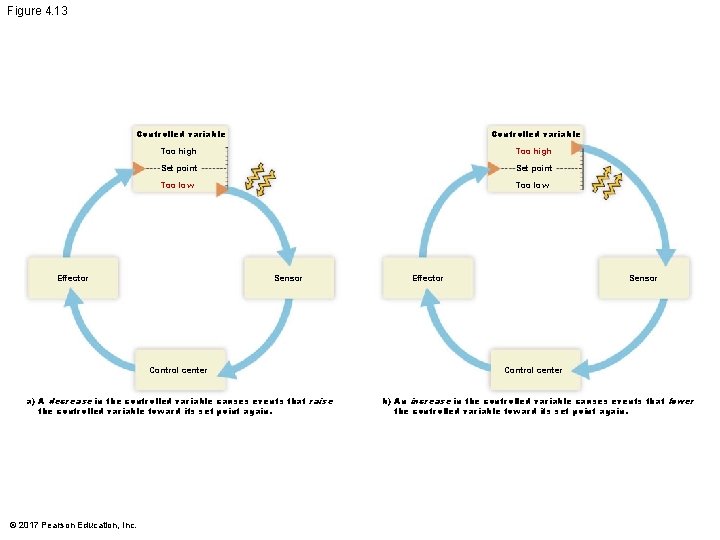 Figure 4. 13 Controlled variable Too high Set point Too low Sensor Effector Control Figure 4. 13 Controlled variable Too high Set point Too low Sensor Effector Control