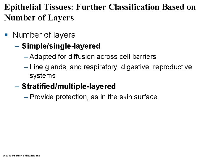 Epithelial Tissues: Further Classification Based on Number of Layers § Number of layers – Epithelial Tissues: Further Classification Based on Number of Layers § Number of layers –