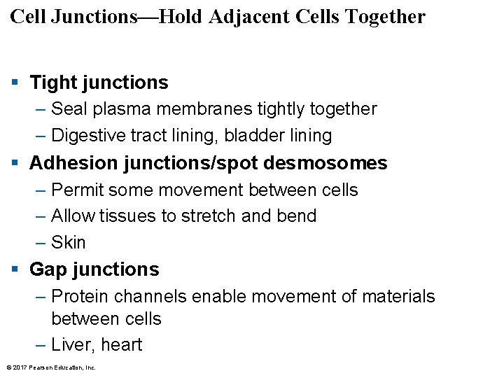 Cell Junctions—Hold Adjacent Cells Together § Tight junctions – Seal plasma membranes tightly together Cell Junctions—Hold Adjacent Cells Together § Tight junctions – Seal plasma membranes tightly together