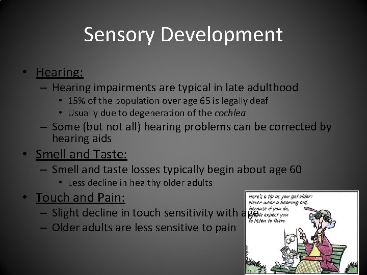 Sensory Development • Hearing: – Hearing impairments are typical in late adulthood • 15%