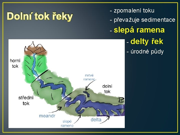 Dolní tok řeky - zpomalení toku - převažuje sedimentace - slepá ramena - delty