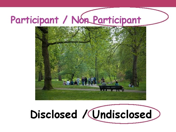 Participant / Non Participant Disclosed / Undisclosed 