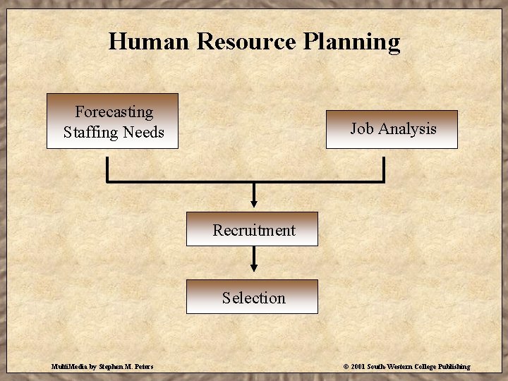 Human Resource Planning Forecasting Staffing Needs Job Analysis Recruitment Selection Multi. Media by Stephen