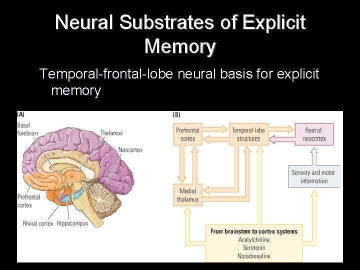 Neural Substrates of Explicit Memory Temporal-frontal-lobe neural basis for explicit memory 