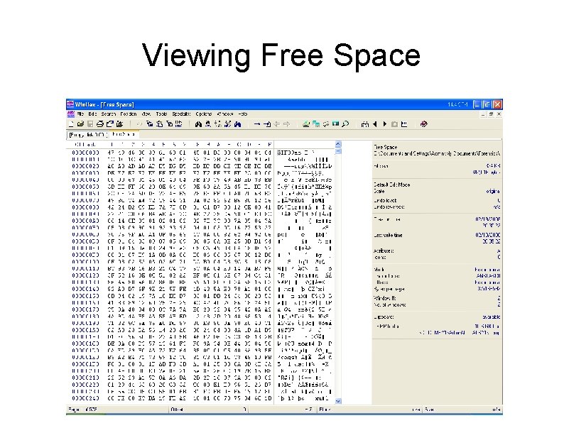 Viewing Free Space Viewing Free Space