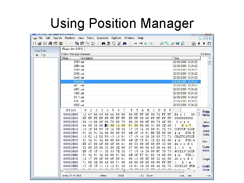 Using Position Manager Using Position Manager
