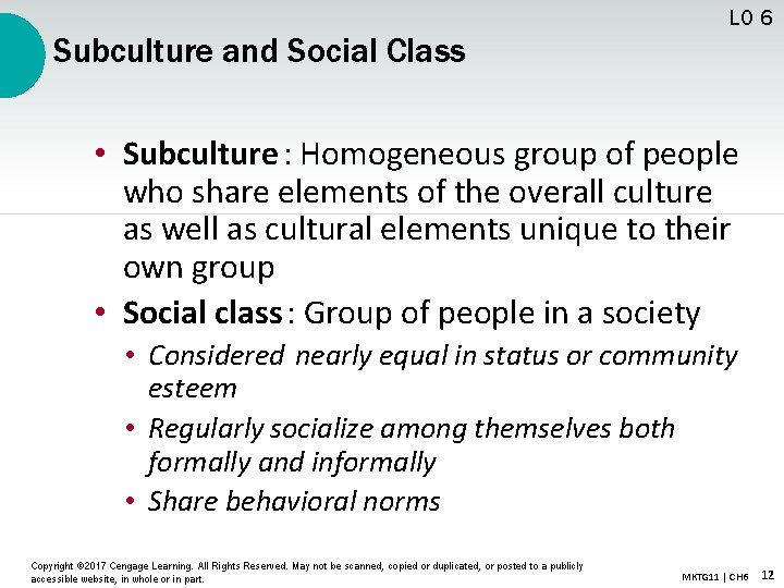 LO 6 Subculture and Social Class • Subculture : Homogeneous group of people who