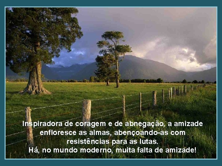 Inspiradora de coragem e de abnegação, a amizade enfloresce as almas, abençoando-as com resistências