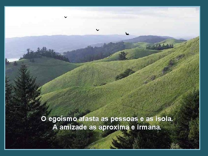 O egoísmo afasta as pessoas e as isola. A amizade as aproxima e irmana.