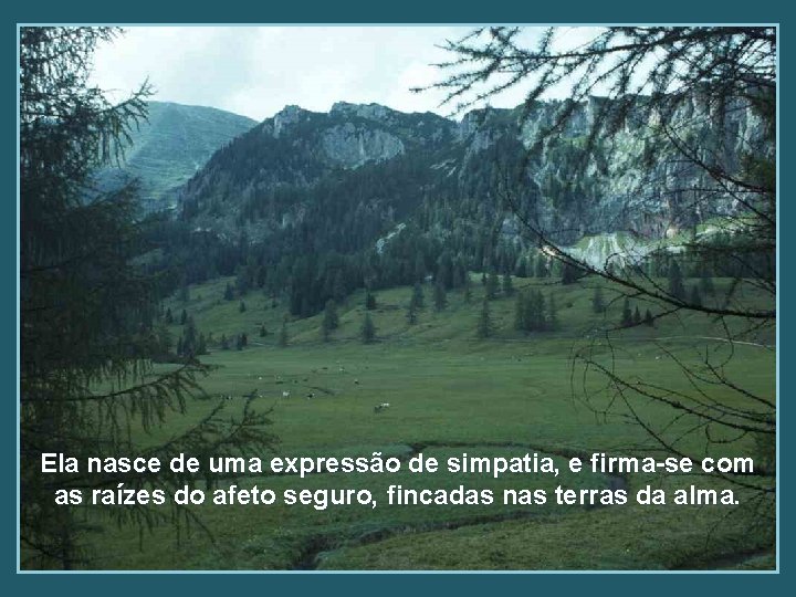 Ela nasce de uma expressão de simpatia, e firma-se com as raízes do afeto