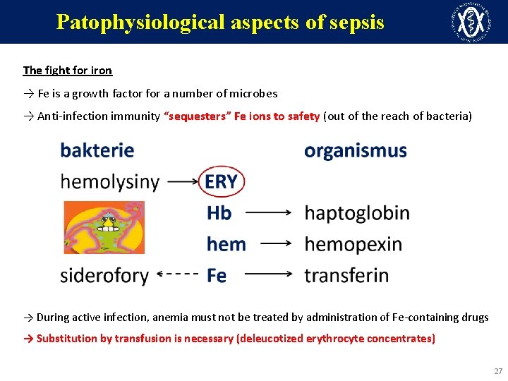Patophysiological aspects of sepsis The fight for iron → Fe is a growth factor