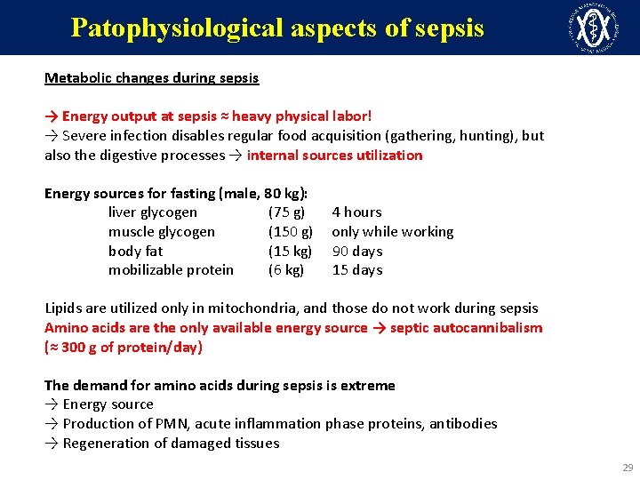 Patophysiological aspects of sepsis Metabolic changes during sepsis → Energy output at sepsis ≈