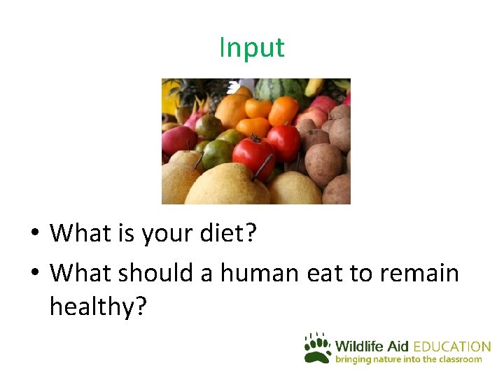 Input • What is your diet? • What should a human eat to remain