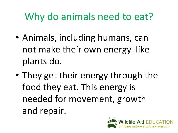 Why do animals need to eat? • Animals, including humans, can not make their