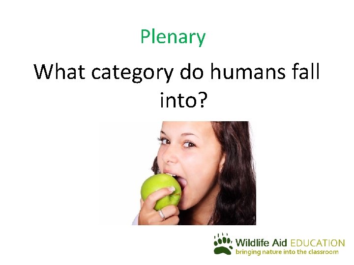 Plenary What category do humans fall into? 
