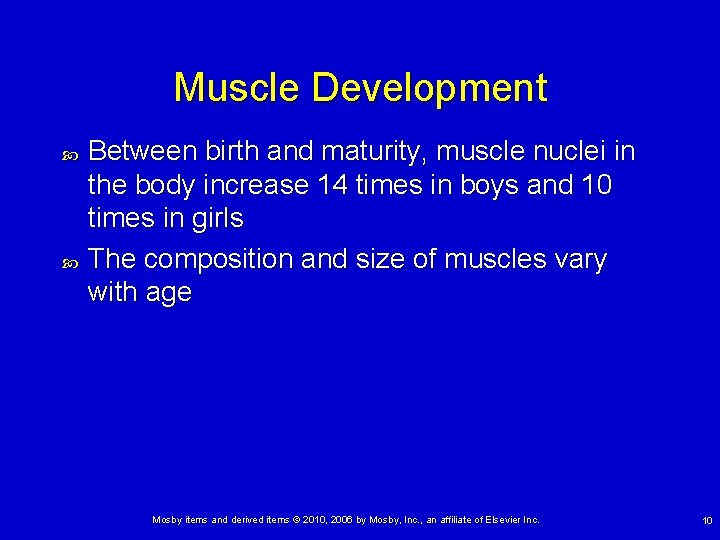 Muscle Development Between birth and maturity, muscle nuclei in the body increase 14 times