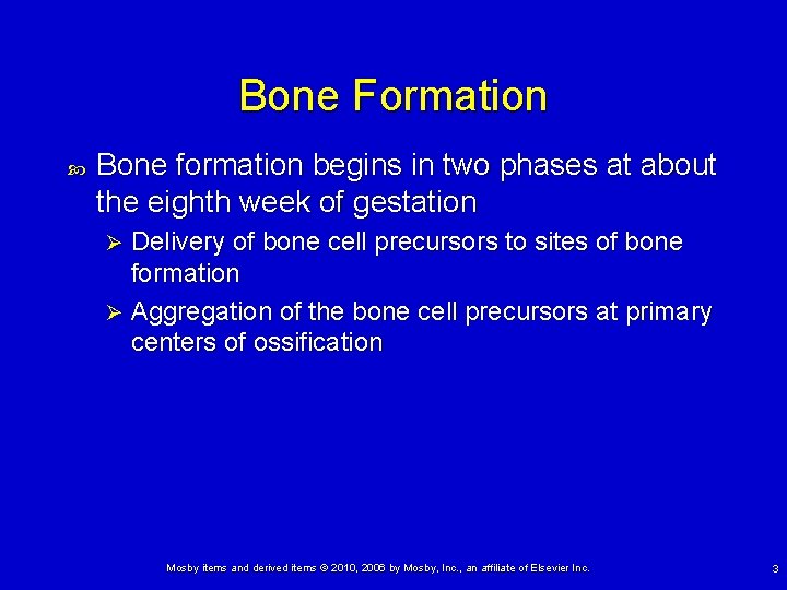 Bone Formation Bone formation begins in two phases at about the eighth week of