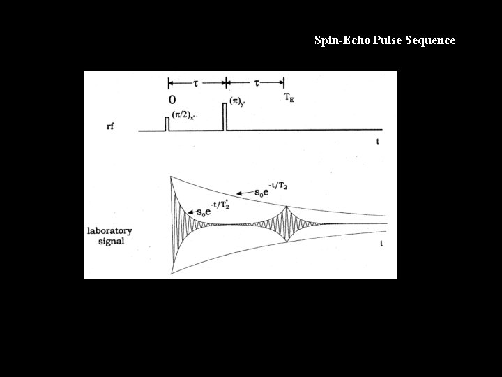 Spin-Echo Pulse Sequence 