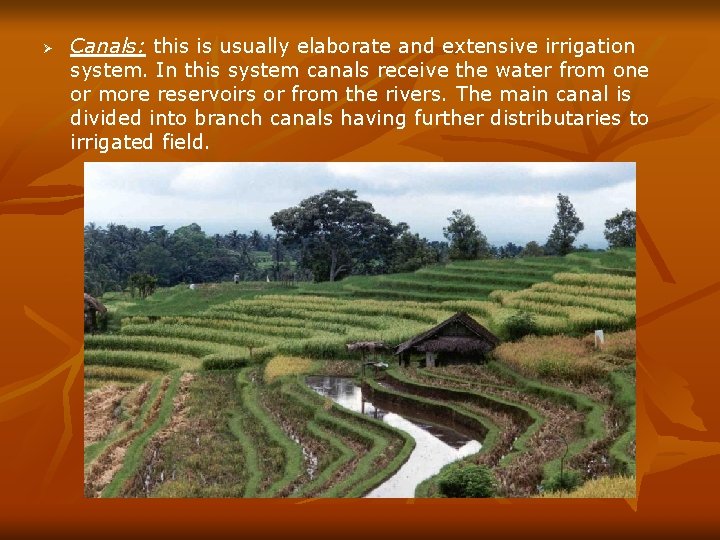 Ø Canals: this is usually elaborate and extensive irrigation system. In this system canals