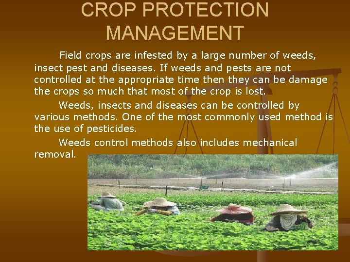 CROP PROTECTION MANAGEMENT Field crops are infested by a large number of weeds, insect