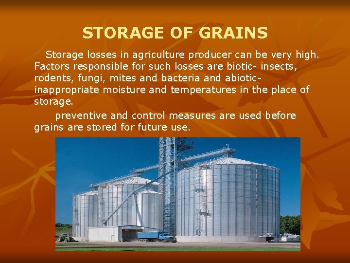 STORAGE OF GRAINS Storage losses in agriculture producer can be very high. Factors responsible