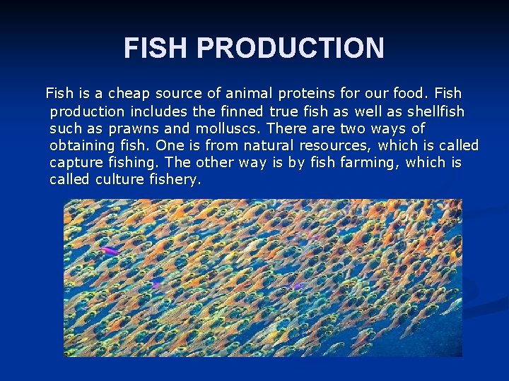 FISH PRODUCTION Fish is a cheap source of animal proteins for our food. Fish