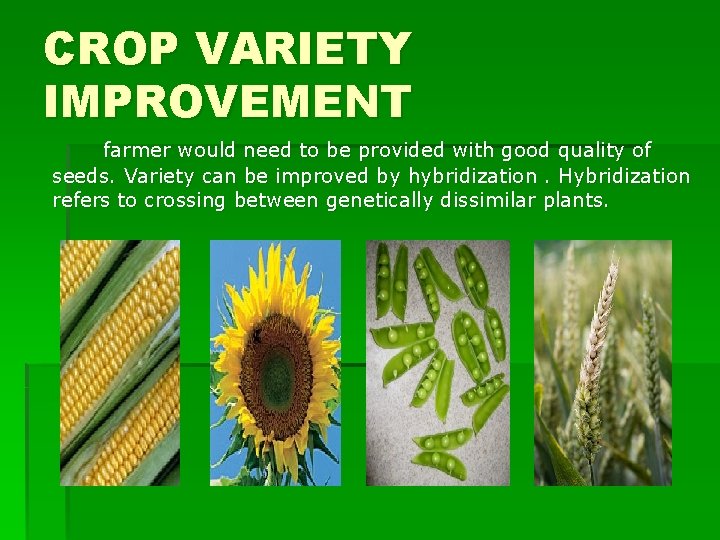 CROP VARIETY IMPROVEMENT farmer would need to be provided with good quality of seeds.