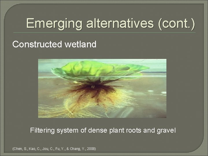 Emerging alternatives (cont. ) Constructed wetland Filtering system of dense plant roots and gravel