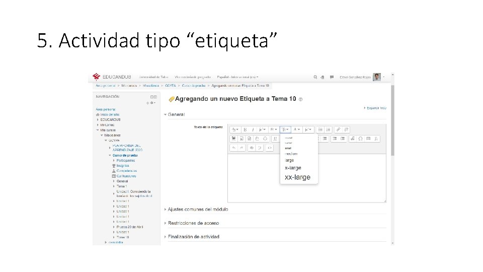 5. Actividad tipo “etiqueta” 