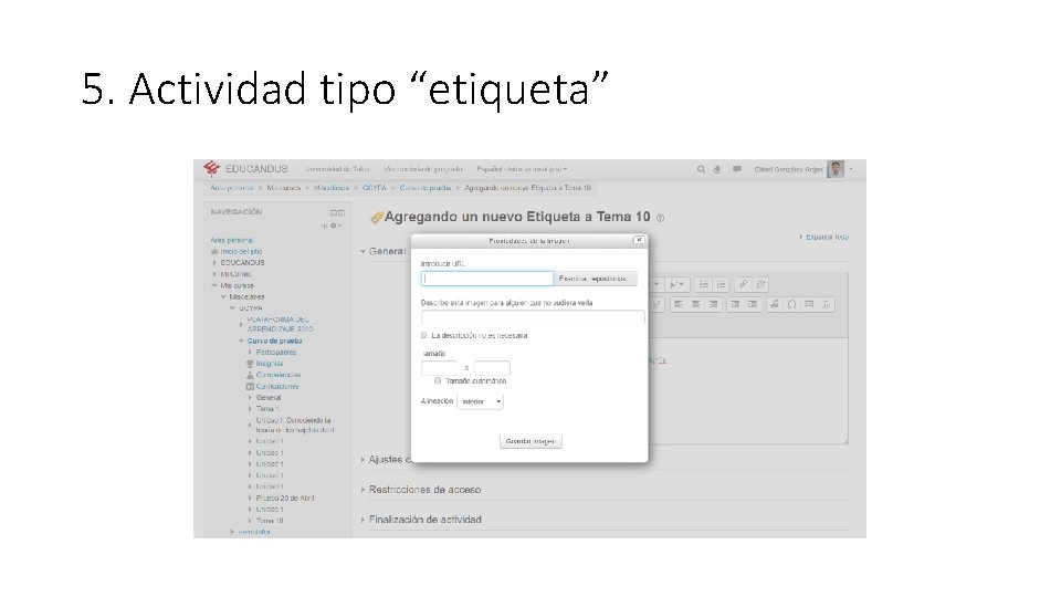 5. Actividad tipo “etiqueta” 