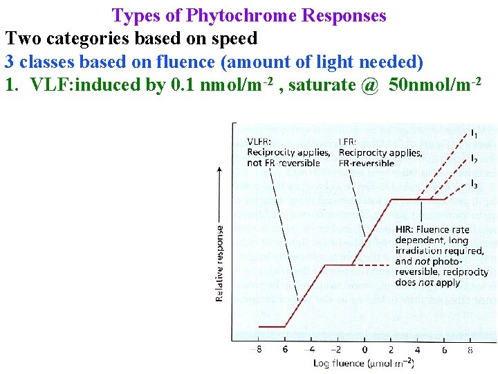 Types of Phytochrome Responses Two categories based on speed 3 classes based on fluence