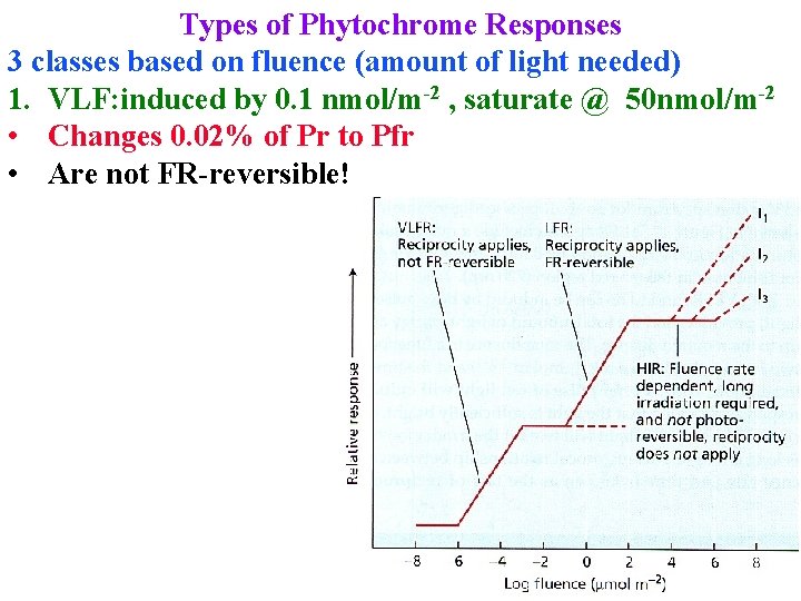 Types of Phytochrome Responses 3 classes based on fluence (amount of light needed) 1.