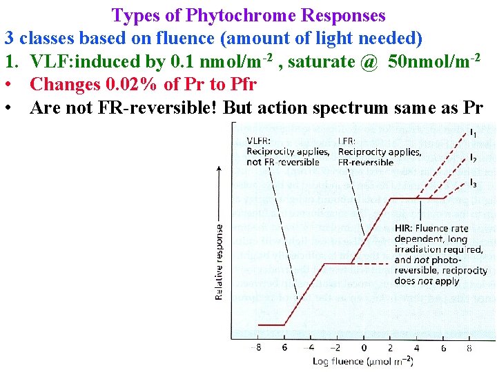 Types of Phytochrome Responses 3 classes based on fluence (amount of light needed) 1.
