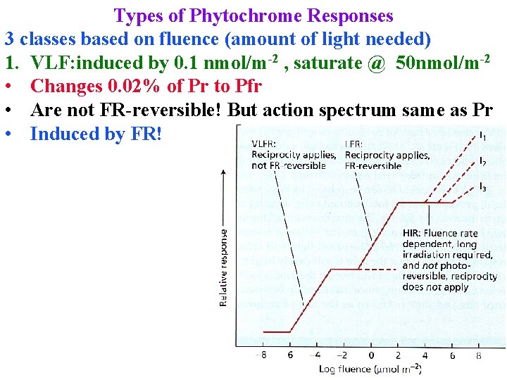 Types of Phytochrome Responses 3 classes based on fluence (amount of light needed) 1.