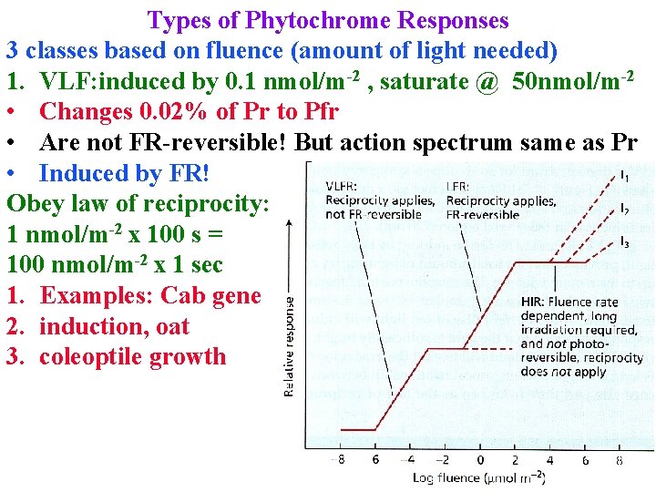 Types of Phytochrome Responses 3 classes based on fluence (amount of light needed) 1.
